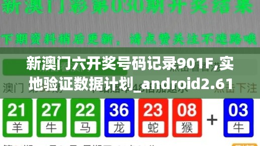 新澳門六開獎號碼記錄901F,實地驗證數據計劃_android2.617