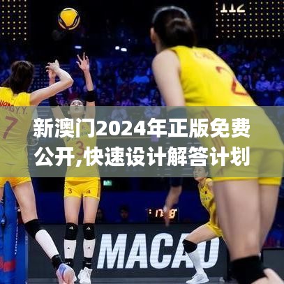 新澳門2024年正版免費公開,快速設計解答計劃_Premium10.464