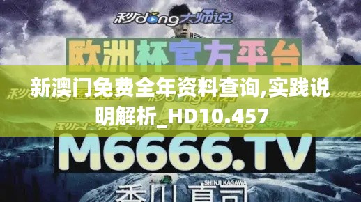 新澳門免費全年資料查詢,實踐說明解析_HD10.457