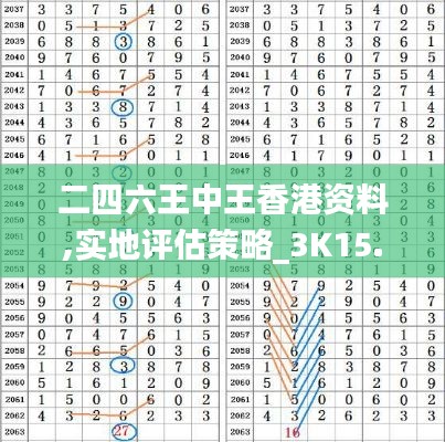 二四六王中王香港資料,實地評估策略_3K15.205