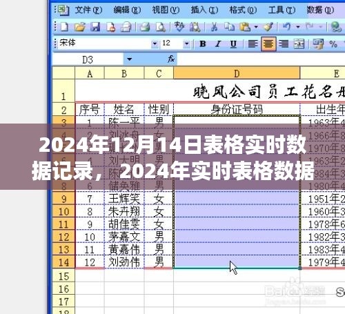 2024年實時表格數據記錄操作指南，從入門到進階的詳細指南（含實時數據記錄表）