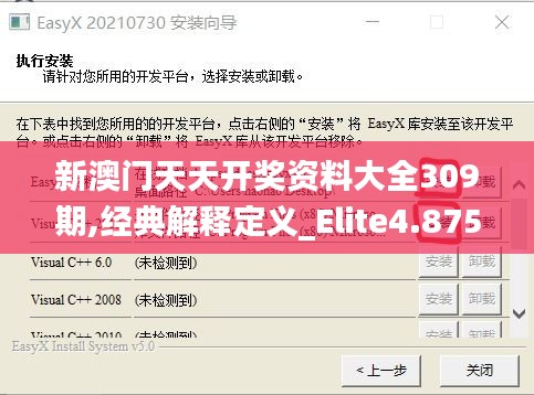 新澳門天天開獎資料大全309期,經典解釋定義_Elite4.875