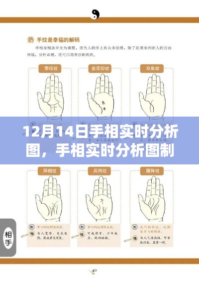 手相實時分析圖制作指南，從初學者到進階用戶，以12月14日手相分析為例