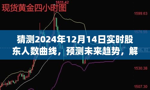 未來趨勢預測與股東人數曲線解析，2024年12月14日實時股東人數曲線產品評測報告