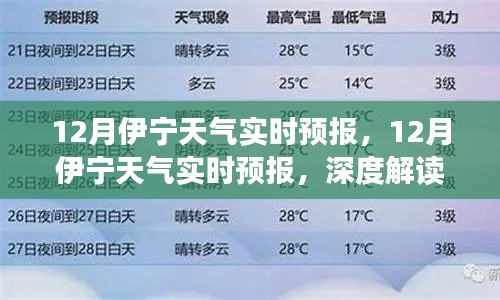 深度解讀與案例分析，伊寧十二月天氣實(shí)時預(yù)報(bào)詳解