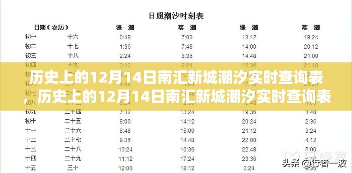 歷史上的12月14日南匯新城潮汐實時查詢表，詳細(xì)步驟指南