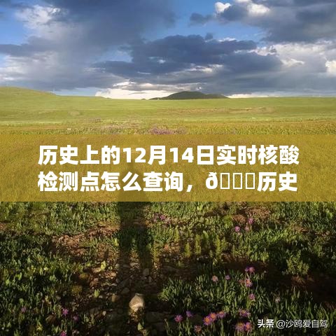 歷史上的12月14日實時核酸檢測點查詢指南，探尋檢測點查詢方法與指南??