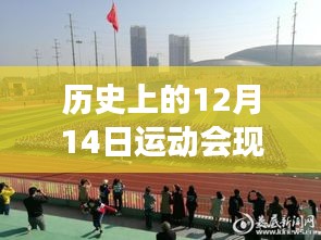 心靈探索之旅