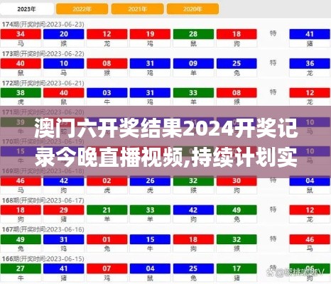 澳門六開獎結果2024開獎記錄今晚直播視頻,持續計劃實施_LT4.221