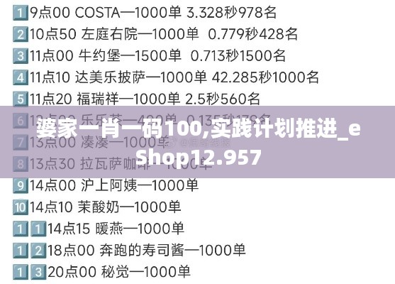 婆家一肖一碼100,實踐計劃推進_eShop12.957