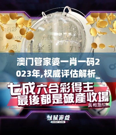 澳門管家婆一肖一碼2023年,權威評估解析_Z10.333