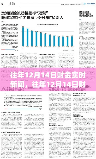 往年12月14日財(cái)金實(shí)時(shí)新聞回顧與洞察，深度解析當(dāng)日財(cái)經(jīng)動(dòng)態(tài)
