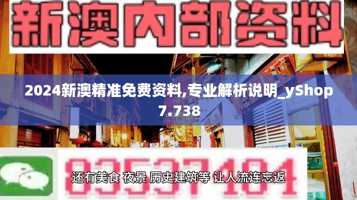 2024新澳精準免費資料,專業解析說明_yShop7.738