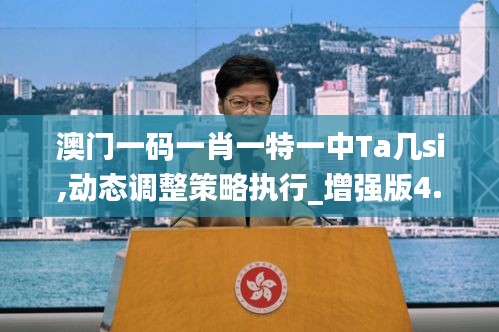 澳門一碼一肖一特一中Ta幾si,動態調整策略執行_增強版4.179