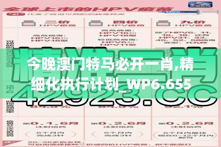 今晚澳門特馬必開一肖,精細化執行計劃_WP6.655