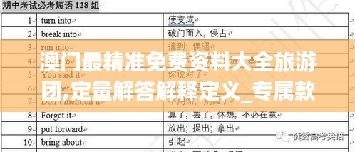 澳門最精準免費資料大全旅游團,定量解答解釋定義_專屬款15.914