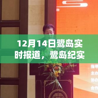 鷺島紀(jì)實(shí)，探尋城市脈搏與生態(tài)觀察的12月14日特寫