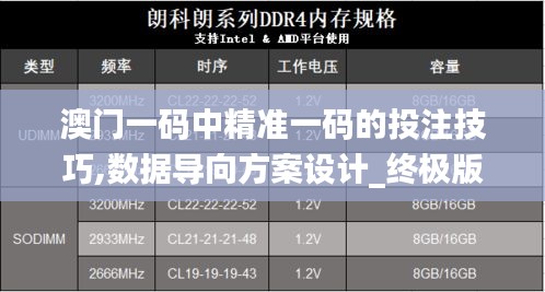 澳門一碼中精準一碼的投注技巧,數據導向方案設計_終極版2.763