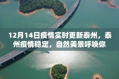 泰州疫情穩定，自然美景呼喚探索，12月14日疫情實時更新