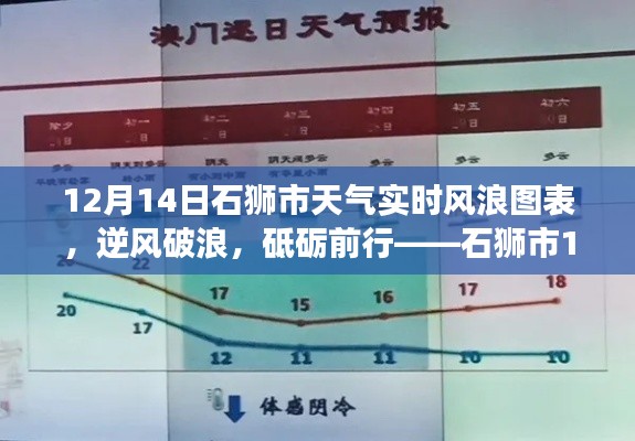 石獅市12月14日風浪實時圖表與成長之旅，逆風破浪，砥礪前行