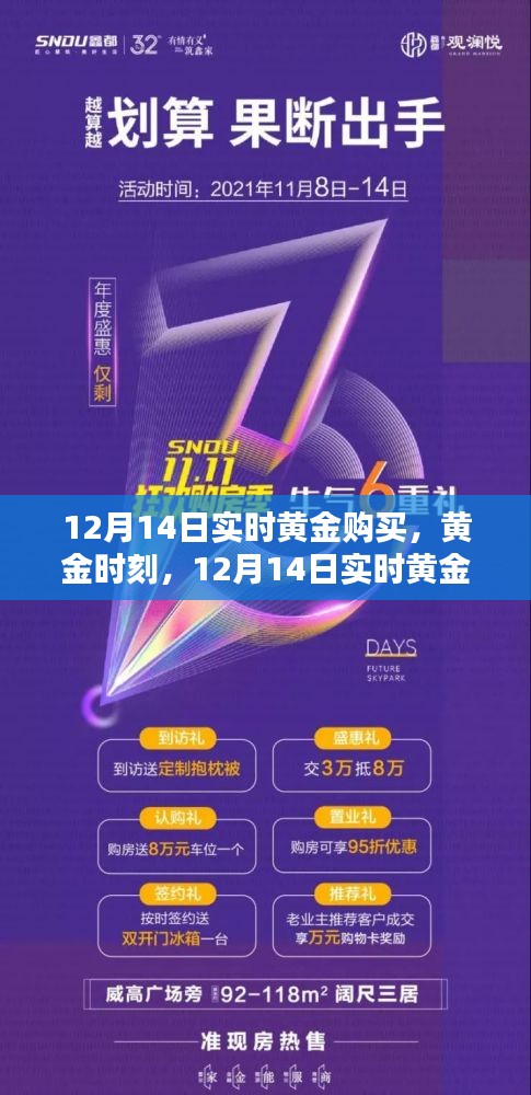 12月14日實時黃金購買全面指南，黃金時刻的投資機會與評測