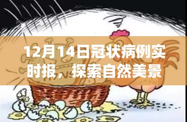 12月冠狀病例實(shí)時(shí)報(bào)下的自然美景治愈之旅，輕松啟程的旅程