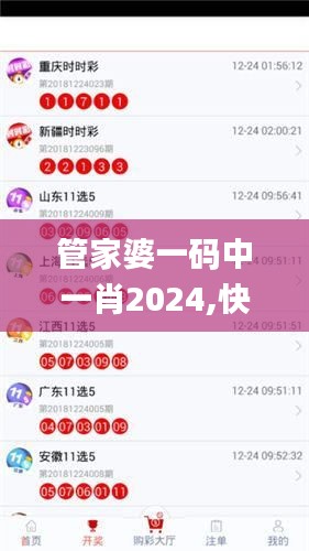 管家婆一碼中一肖2024,快速響應計劃解析_XT3.249