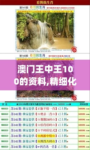 澳門王中王100的資料,精細化定義探討_7DM10.632