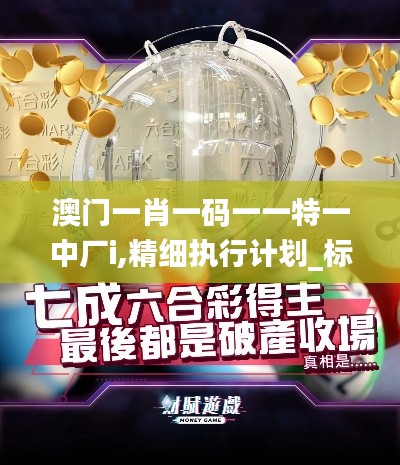 澳門一肖一碼一一特一中廠i,精細執行計劃_標準版4.255