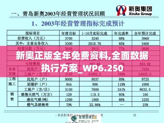 新奧正版全年免費資料,全面數據執行方案_WP6.250