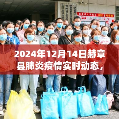 赫章縣肺炎疫情實(shí)時(shí)動(dòng)態(tài)分析報(bào)告（聚焦觀點(diǎn)與立場(chǎng)，截至2024年12月14日）