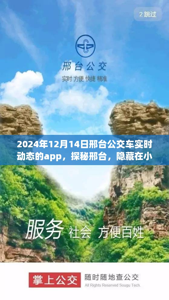 邢臺公交實時動態APP探秘，公交與特色小店的奇妙邂逅之旅