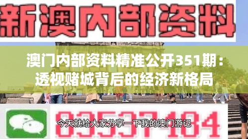 澳門內(nèi)部資料精準公開351期：透視賭城背后的經(jīng)濟新格局