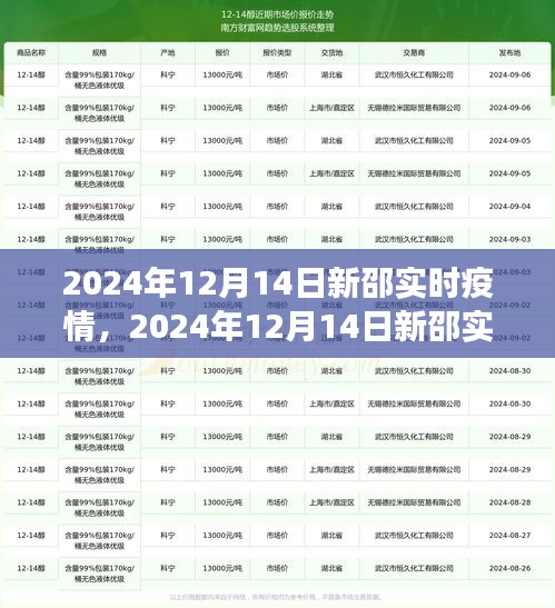 獨家解讀，2024年12月14日新邵實時疫情全面洞察與解讀