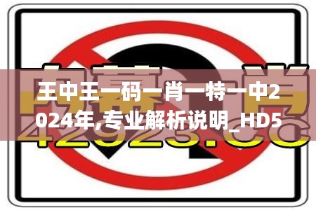 王中王一碼一肖一特一中2024年,專業解析說明_HD5.734
