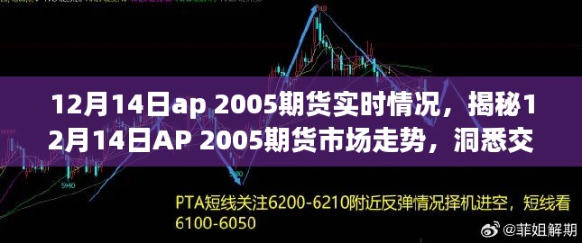 揭秘，AP 2005期貨市場走勢分析——洞悉交易前沿動態(tài)（實(shí)時(shí)更新）