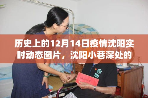 透過時光鏡頭，沈陽防疫故事——12月14日疫情實時動態圖片回顧