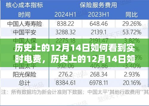 實用指南，歷史上的12月14日實時電費查詢步驟——初學者與進階用戶必看！