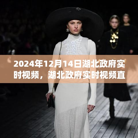 湖北政府實時視頻直播聚焦未來篇章，共探發展新篇章的要點