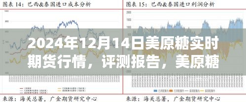 深度解析，2024年12月14日美原糖實時期貨行情評測報告