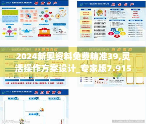 2024新奧資料免費(fèi)精準(zhǔn)39,靈活操作方案設(shè)計(jì)_專家版7.915