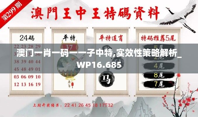 澳門一肖一碼一一子中特,實效性策略解析_WP16.685