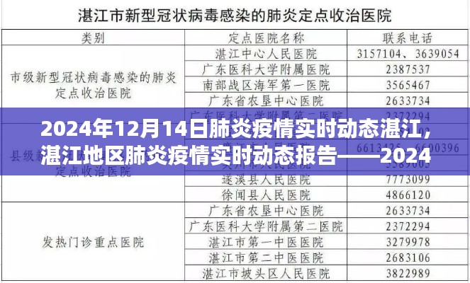 湛江地區肺炎疫情實時動態報告，深度解析至2024年12月14日