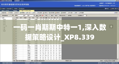 一碼一肖期期中特一1,深入數據策略設計_XP8.339