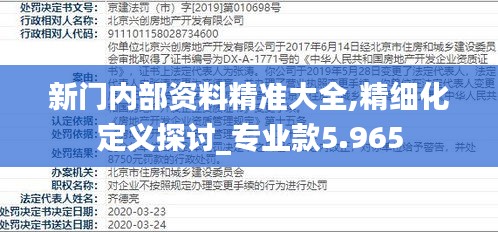 新門內(nèi)部資料精準(zhǔn)大全,精細(xì)化定義探討_專業(yè)款5.965