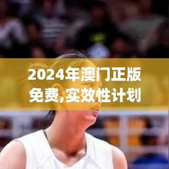2024年澳門正版免費,實效性計劃設(shè)計_模擬版9.737