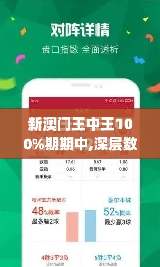 新澳門王中王100%期期中,深層數據執行設計_復古款2.806