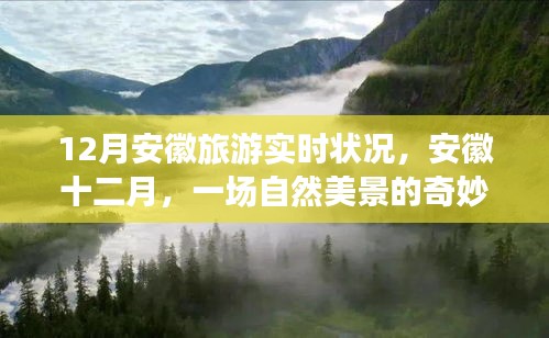 安徽十二月旅游實(shí)時(shí)狀況，自然美景之旅，探尋內(nèi)心的平和與寧靜