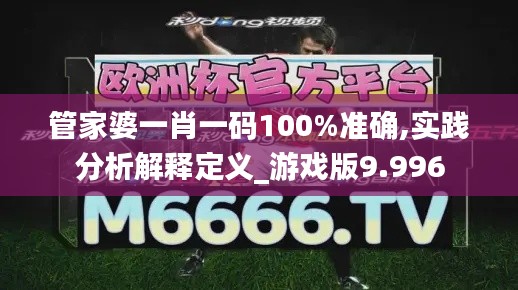 管家婆一肖一碼100%準確,實踐分析解釋定義_游戲版9.996