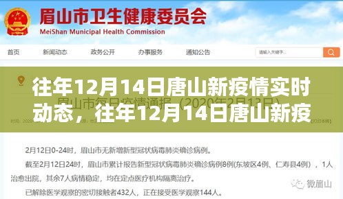 往年12月14日唐山疫情實(shí)時動態(tài)及分析簡報(bào)